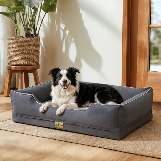 Orthopedic Dog Bed with Bolster