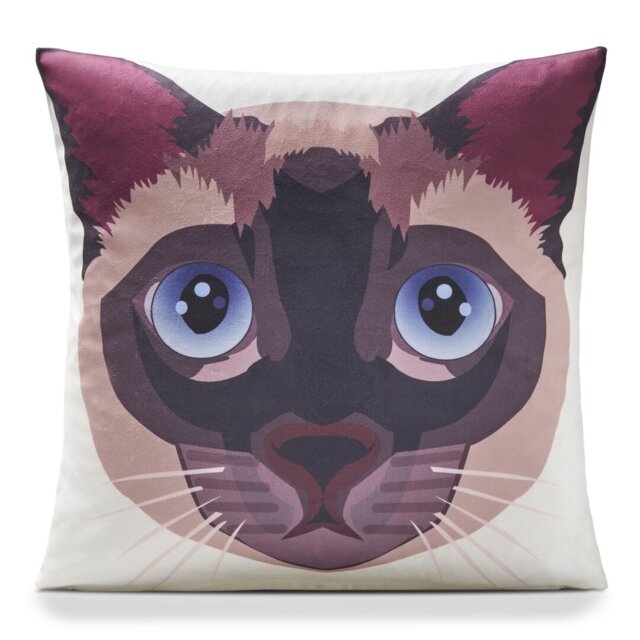 Ditoro Multicoloured Square Cushion