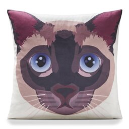 Ditoro Multicoloured Square Cushion