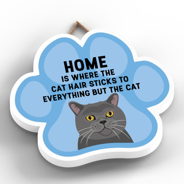 Cat 7 Home Cat Hair Sticks To Everything Wall DÃ©cor
