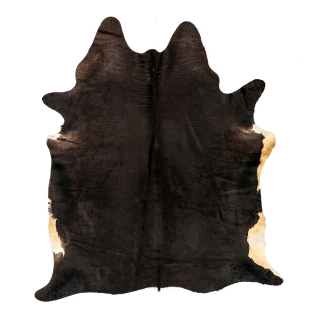 "Paignt One-of-a-Kind 5'5"" x 6'7"" Area Rug in Black"