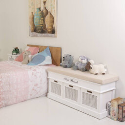 Randi Storage Bench