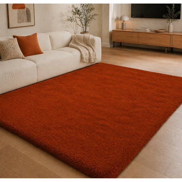 Aspire Homeware Rust Shaggy Area Rug Soft Plush Indoor Carpet
