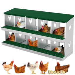 Chicken Coop