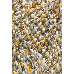 Spring Shag Wool Orange Rug