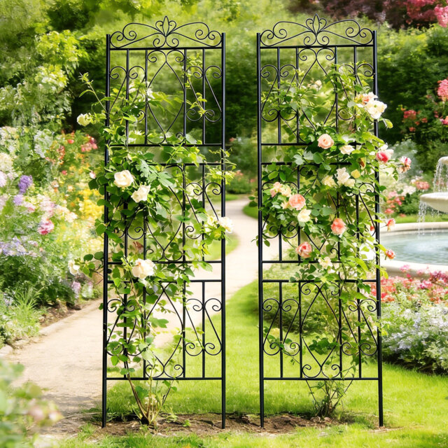 Otmar 182cm H x 2cm W Metal Fan Trellis