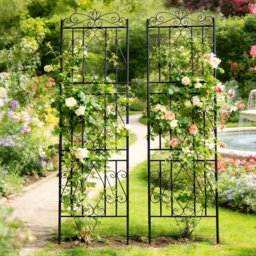 Otmar 182cm H x 2cm W Metal Fan Trellis