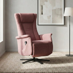 Chaput 69cm Wide Swivel Lounge Chair, Reclining