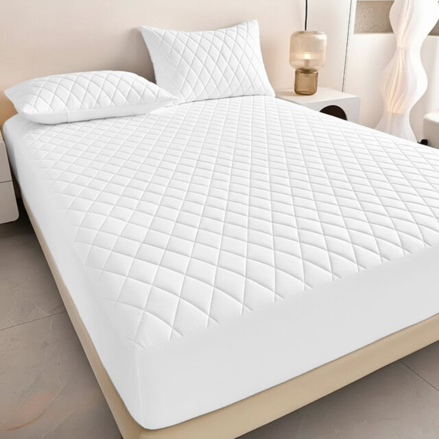 Aspire Homeware Premium Hotel-Style Soft Quilted Mattress Protector with Elastic Fit