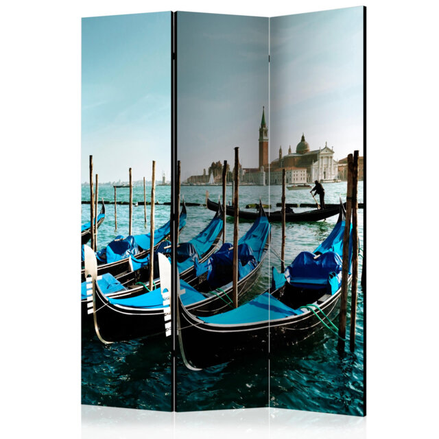 Room Divider - Gondolas On The Grand Canal, Venice [Room Dividers]