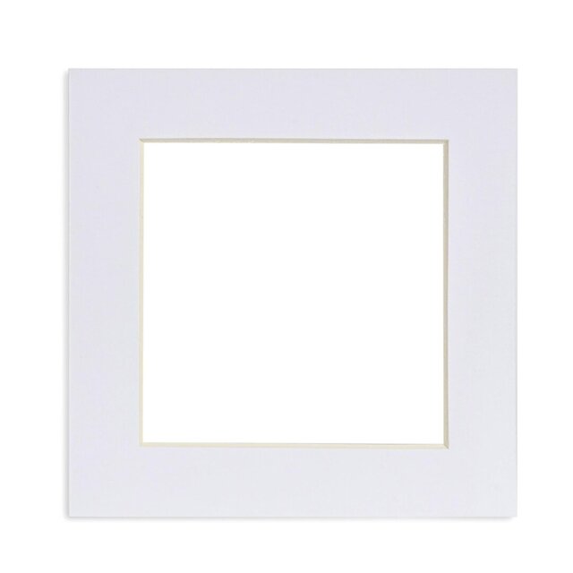 Bevelled Shadow Box Picture Frame with Mat