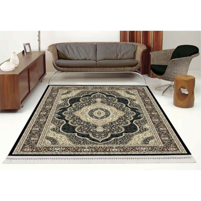 Kircher Large Traditional Super Soft Classic Carpets Vintage Tufted Power Loom Rugs