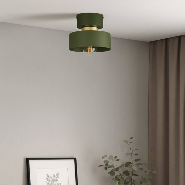 Flush Mount