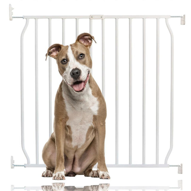 Zia Metal Pet Gate Accessory