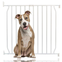 Zia Metal Pet Gate Accessory