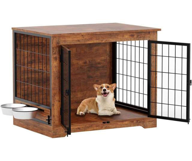 Dog House