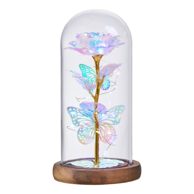 Cloche Or Water Globe