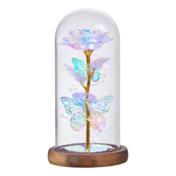 Cloche Or Water Globe