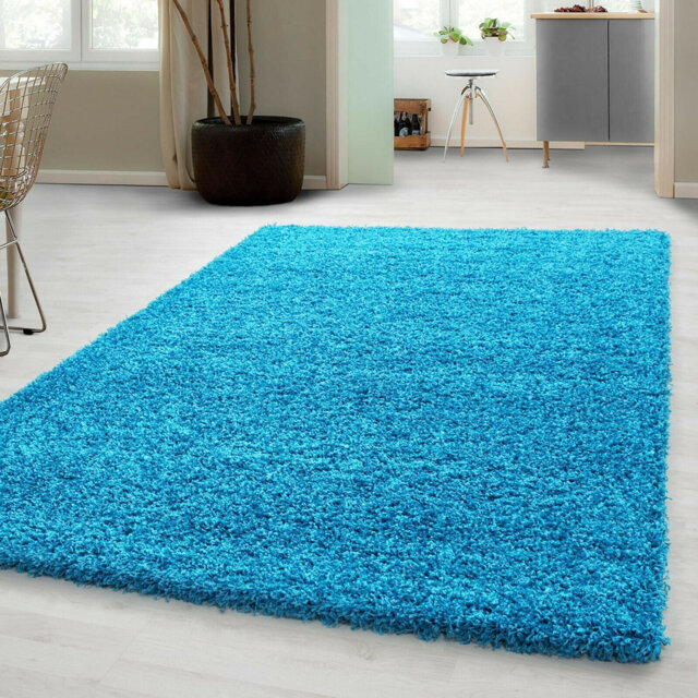 Aanuoluwa Blue Indoor / Outdoor Rug