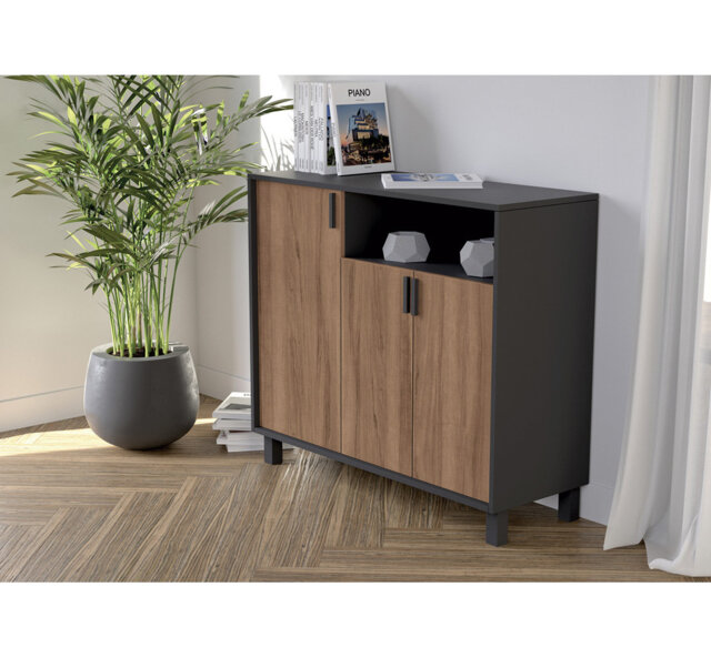 16 Pair Shoe Storage Cabinet