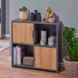 Aksil Bookcase