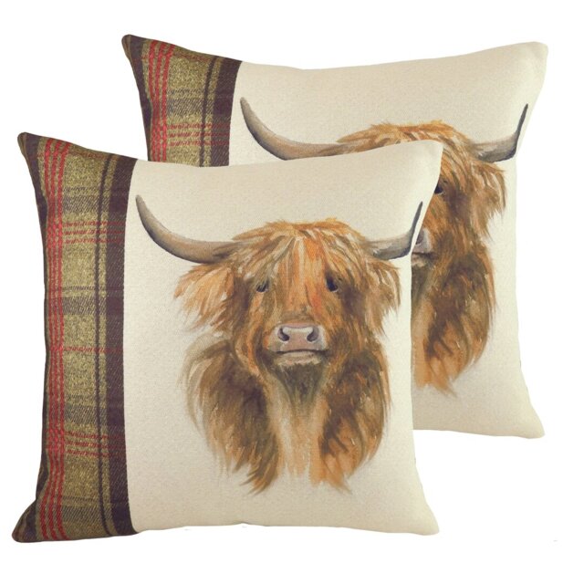 Cushion
