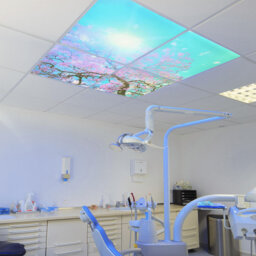 Ener-J Cherry Blossom Sky LED Ceiling Light 4 Pack 60x60cm 40W 6500K