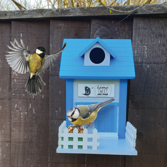 Mounted Bird House