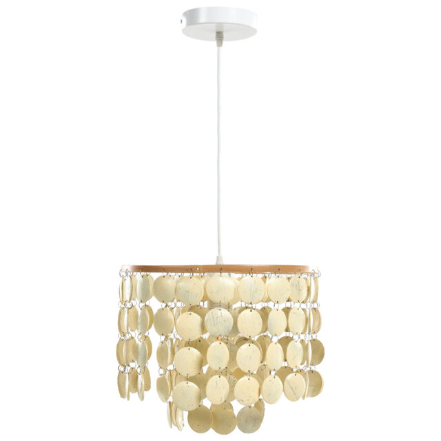 1 Light Chandelier