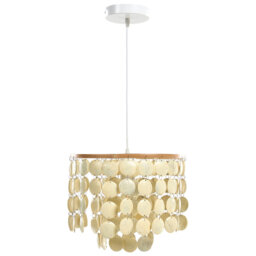1 Light Chandelier
