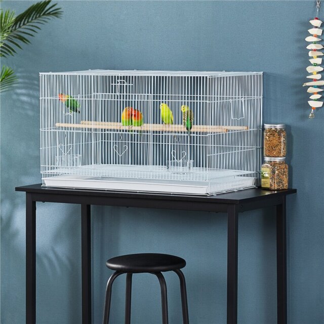 46cm Iron Flat Top Table Top Bird Cage with Perch