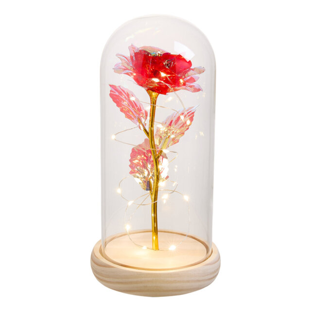 Cloche Or Water Globe