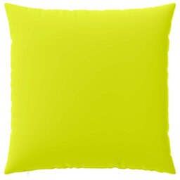 Bright Green Cushion