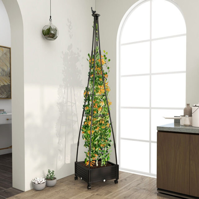 Sorensen 203cm H x 41cm W Metal Gothic Trellis