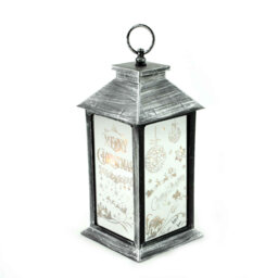 LED Indoor / Outdoor Single Christmas Light