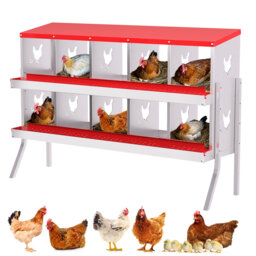 Chicken Coop