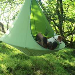 Saffo Hanging Chair