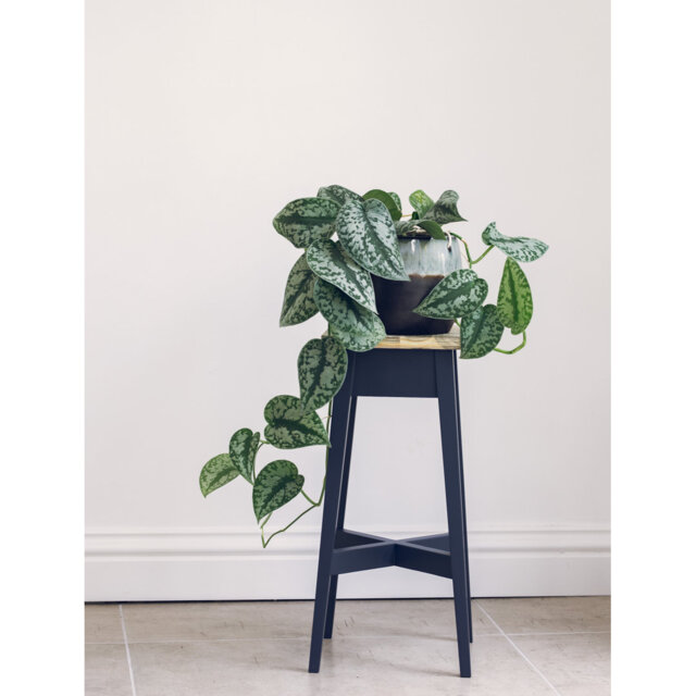 Decatur Solid Wood Pine Plant Stand 2 Tier