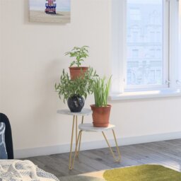 Montegue Novelty Plant Stand