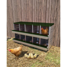 6.84mÂ² Chicken Coop