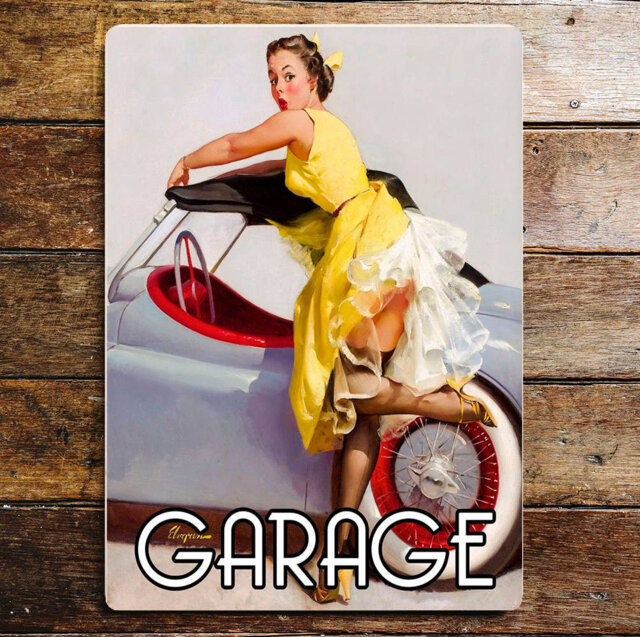 Garage Car Door Pin up Girl in Bath Wall Décor