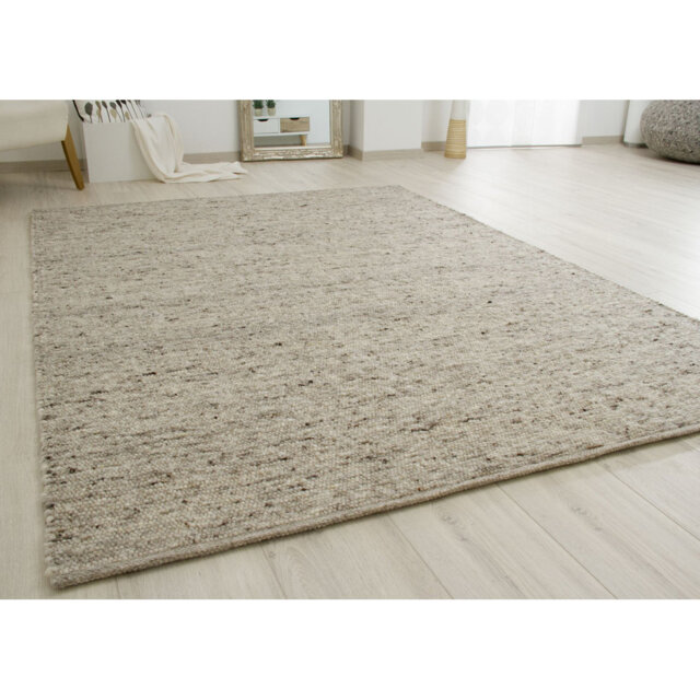 Behr Solid Colour Hand Woven Flatweave Area Rug