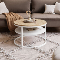 Guarascio Coffee Table with Storage