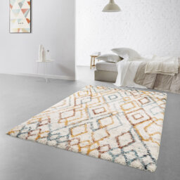Adamira Moroccan Shag Area Rug