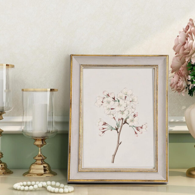 Storage Picture Frame