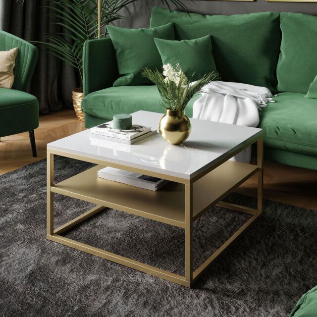 Apolonio Coffee Table with Storage Space