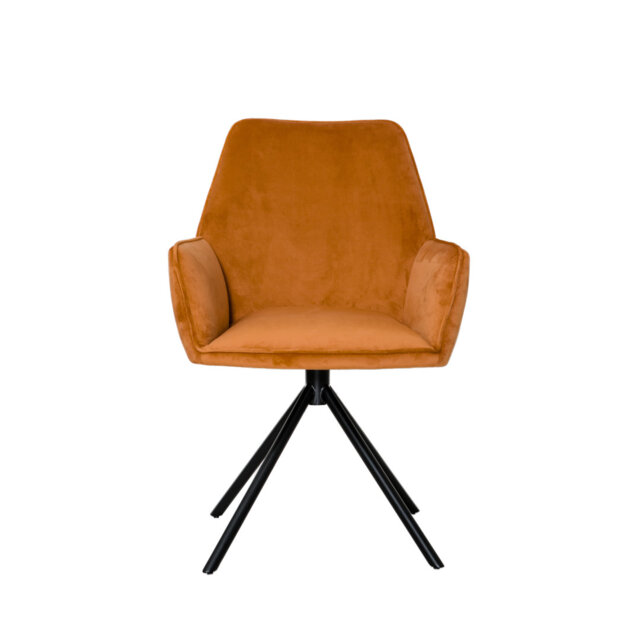 46cm H Upholstered Armchair