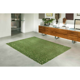 Alta Green/White Rug