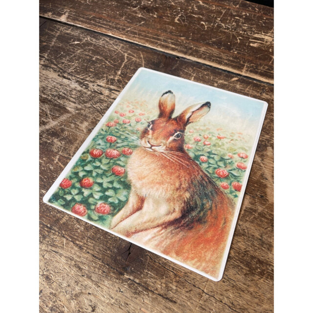 Wall Decor on Metal