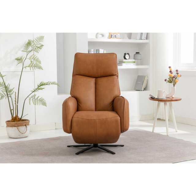 Devony Leather Swivel Recliner